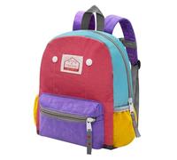 LJCZKA Small Toddler Backpack for Boys Girls, Cute Children Backpack with Chest Strap, Colorblock School Bag for Preschool Nursery