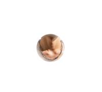 LJHJYDW Puka Men Surfer Shell Choker Beach Seashell Beaded Wooden Bead Boho Necklace Gifts for Boys