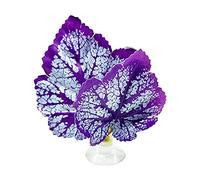 ljhnba Betta Fish Leaf Pad Hammock Simulating Habitat Resting Fish Rest Bed Decor Betta Fish Leaf Pad with Suction Cup