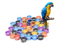 LJISEHG Multi-Color Numbered Bird Leg Rings - Clip-On Foot Bands for Pigeons Parrots & Chicks Identification(Mixed Colors6.0mm,150pc)