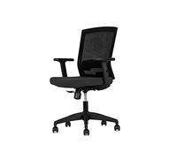 LJJL Office Chair Office Chair, Height Adjustable Ergonomic Executive Computer Chair Mesh Desk Chair Swivel Chair, 90°-115° tilt with Lifting armrests and Lumbar Support (Color : Style2)