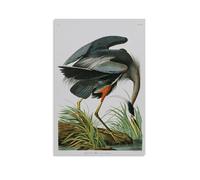 LJPENART John James Audubon Poster（Great Blue Heron Wall Art Painting Canvas Living Room Prints Bedroom Decor Artworks 12x18inch(30x45cm)