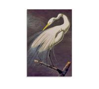 LJPENART John James Audubon Poster（Great White Egret） Print Photo Art Painting Canvas Home Decorative Bedroom Modern Decors 20x30inch(50x75cm)
