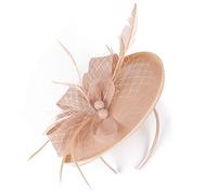 LJRPUPY Women’s Cocktail Fascinators Headband Tea Party Fascinator Hat Church Headpiece Hat Derby Fascinators Hat Pink