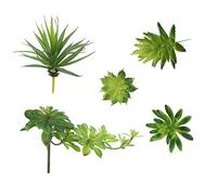 LJY 5 Pcs Artificial Succulent Plants Set in Pots - 1 Large Agave Sword Leaf and 4 Mini Fake Cactus, Small Ornaments for Shelves, Bathroom, Desk and Kitchen Decor, Realistic Faux Greenery