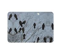 LKLDDPZB Black Crow Birds Doormat â€“ Full-Print, Single-Side Design, 100% Polyester With Flannel Fabric And Non-Woven Plastic Dotted Bottom, Easy To Clean, Durable And Anti-Slip