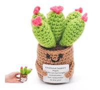 LKNBIF Crochet Succulent Doll, Positive Succulent Ornament Knitted Potted Plant Emotional Support Toy with Positive Card Cactus, for Adults Kids Friends Home Office Decoration, Fiber Yellow