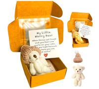 LKNBIF Worry Bear Hug in a Box, Mini Bears with Inspirational Card Fluffie Stuffies Bear Doll, Plush Bears in Box Emotional Support Plush Positive Gifts for Friends Women Men Valentine's Day Gifts