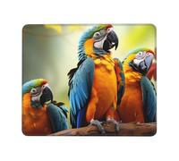 LKTPSKQRY Cute Parrots Mouse Pad with Stitched Edge, Comfortable Mouse Pads with Non-Slip Rubber Base Gaming Mouse Mat Washable Mousepads Computers Laptop Desk Accessories for Office 7 x 8.6 in
