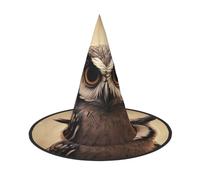 LKTPSKQRY Women's Witch Hat Oversized Witches Hats Cute Owl Halloween Wizard Hat Party Cosplay Costume Accessory