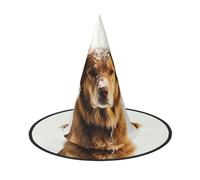 LKTPSKQRY Women's Witch Hat Oversized Witches Hats Dog in the snow Halloween Wizard Hat Party Cosplay Costume Accessory