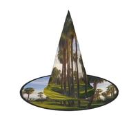 LKTPSKQRY Women's Witch Hat Oversized Witches Hats Palm Tree Golf Course Halloween Wizard Hat Party Cosplay Costume Accessory