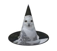 LKTPSKQRY Women's Witch Hat Oversized Witches Hats Snow Owl Halloween Wizard Hat Party Cosplay Costume Accessory