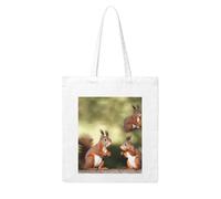 LKVNSWERT Sea Turtles Diamond Painting Canvas Tote Bag for Women Grocery Shopping Bags Reusable Shoulder Tote Purse Handbags, Cute Squirrels, One Size