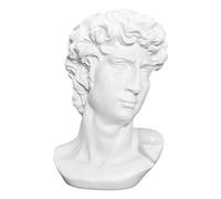 LKXHarleya 11.8 Inch Classic Greek Michelangelo David Bust Statue Replica Sculpture Figurine for Artist