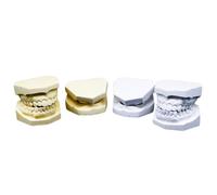 LKYLVEE 4 Pcs Plaster Dental Model Standard Plaster Models with and without Teeth Tooth Dental Model for Study Teaching