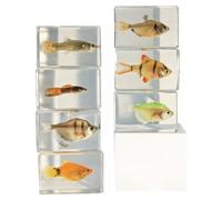 LKYLVEE 7 Pcs Marine Biology Resin Fish Specimen Fish Taxidermy Collection for Science Education & Desk Ornament,Clear,4cm
