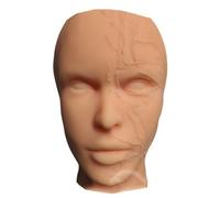 LKYLVEE Minor Cosmetic Skeletal Vascular Head Model Injection Training Silicone Head Model for Medical Practice Training,Flesh,25cm