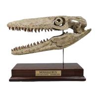 LKYLVEE Mosasaurus Skull Fossil Statue - Resin Dinosaur Replica Head Sculptures - Dinosaur Fossil Skeleton Ornament Home Office Decor,Brown,24cm