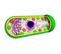 LKYLVEE Plant Cell Anatomical Model Biological Plant Cell Model Teaching Equipment for Laboratory and Research Purpose,Blue,13cm