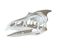 LKYLVEE Pterosaur Skull Fossil - Pterosaur Bone Fossil Specimen - Dinosaur Skull T-Rex Bones Resin Craft Statue,White,10cm