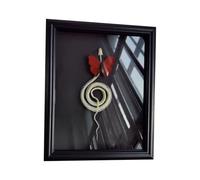 LKYLVEE Real Snake Skeleton Framed Butterfly Taxidermy in Glass Frame for Wall Decoration, Unique Gothic Entomology Art for Home Office,B