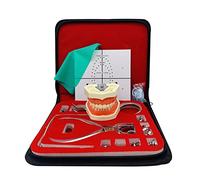 LKYLVEE Rubber Dam Punch Board Practice Tool Set Dental Endodontic Rubber Dam Kit with Teeth Model for Dental Oral Practitioner Exam Science Education,Flesh