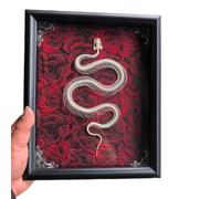 LKYLVEE Snake Skeleton Framed Taxidermy - Taxidermy Real Animals Skull Decor - Wall Decor for Bedroom, Living Room, Office,10inch red,20cm