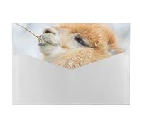 Llama Alpaca 6 Pockets Expanding File Organizer, File Manager Flap and Snap Button Closure for Student Teacher Doctor School 13 x 9.1 inch