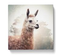 Llama Double Exposure Canvas Print | Gallery Wrapped 30mm Frame Wall Art | 20x20 inches | Ready to Hang | Modern Animal Picture | Living Room Bedroom Lounge Office