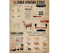 Llama Knowledge Metal Tin Signs Camel Alpaca Llama Guanaco Breeds Home Bedroom People Cave Bathroom Living School Room Cafe Kitchen Home Wall Decor Retro Print Poster Best Funny Gift Plaque