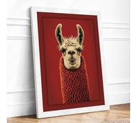 Llama Portrait Framed Wall Art Print A2 White