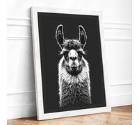 Llama Study Minimalist Framed Wall Art Print A2 White