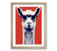 Llama With Glasses Framed Print | A2 Oak Framed Wall Art | Ready to Hang | Modern Animal Picture | Living Room Bedroom Lounge Office