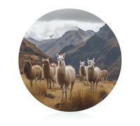 Llamas in The Andes Cutting Board for Kitchen Small Non Slip Tempered Glass Cutting Mat Heat Resistant Chopping Board for Cutting Meats Fruits Vegetables 7.9" X 7.9"