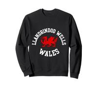 Llandrindod Wells Dragon Suitable for Kids Men Women Sweatshirt