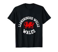 Llandrindod Wells Dragon Suitable for Kids Men Women T-Shirt