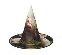 LLaviD Cleanest Animals Halloween Witch Hat Halloween Costume Accessories Caps for Theme Decoration Halloween Party Cosplay