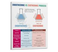 LLBOGRGGN Chemical Reactions Poster Endothermic vs Exothermic Processes Educational Wall Chart for Classroom Learning(Unframed,08x12inch(20x30cm))