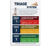 LLBOGRGGN Dog Cat Pet First Aid Triage Chart Emergency Care Educational Guide for Animal Training Facility Veterinary Clinic Home(Unframed,08x12inch(20x30cm))