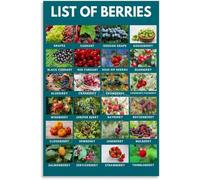 LLBOGRGGN Educational Chart of Various Berries Healthy Fruit Types Guide with Names Poster for Kitchen Living Room Home Decor(Unframed,16X24inch(40X60cm))