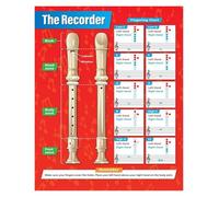 LLBOGRGGN Educational Recorder Poster Fingering Chart Music Notes for Beginning Students Classroom School Wall Decor(Unframed,16x24inch(40x60cm))