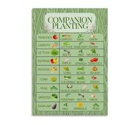 LLBOGRGGN Gardening Companion Planting Chart Vegetable Herb Pairing Reference Guide Poster for Home Garden Backyard Greenhouse Office Wall Decor