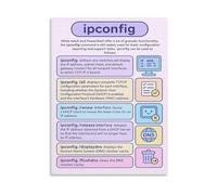 LLBOGRGGN Home and IT Reference Poster Windows Ipconfig Command Guide Network Configuration Chart Canvas Art for Office Desk Decor(Framed,08x12inch(20x30cm))