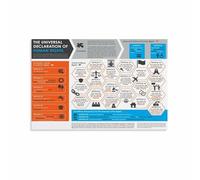 LLBOGRGGN Human Rights Poster Declaration Inspirational Wall-Art for Classroom Decor Office Study Room Bedroom(Unframed,12x18inch(30x45cm))