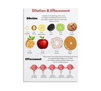 LLBOGRGGN Stages of Labor Educational Chart Cervical Changes Poster Canvas Wall-Art Pregnancy Reference for Doula Midwife Office(Framed,12x18inch(30x45cm))