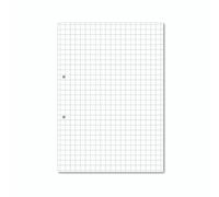 Llef Paper 10MM Sq Pchd 2HL A4 PK5