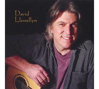 Llewellyn, David - David Llewellyn