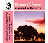 Llewellyn - Llewellyn - Dawn Chorus