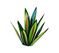 LLhappy 13.7Inch Tequila Rustic Sculpture, DIY Hand Painted Metal Agave Plants,Outdoor Garden Lawn Ornaments-Silver